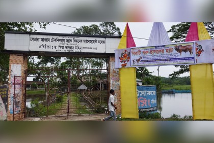 কলেজ মাঠে গরুর হাট বসানোর প্রস্তুতি, অভিভাবকদের আপত্তি