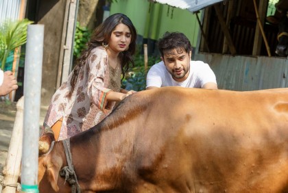 এক গরুতেই জোভান-পায়েলের কোরবানি
