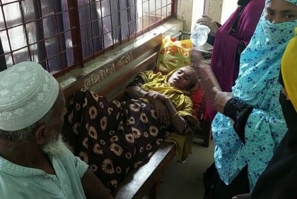 কালীগঞ্জে পাগলা কুকুরের কামড়ে নারী ও শিশুসহ আহত ৫০