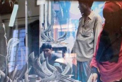 ব্যস্ত সময় পার করছেন কামাররা