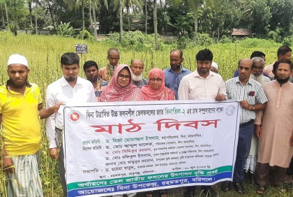 বরিশালে বিনা তিল-২ চাষ সম্প্রসারণে মাঠ দিবস