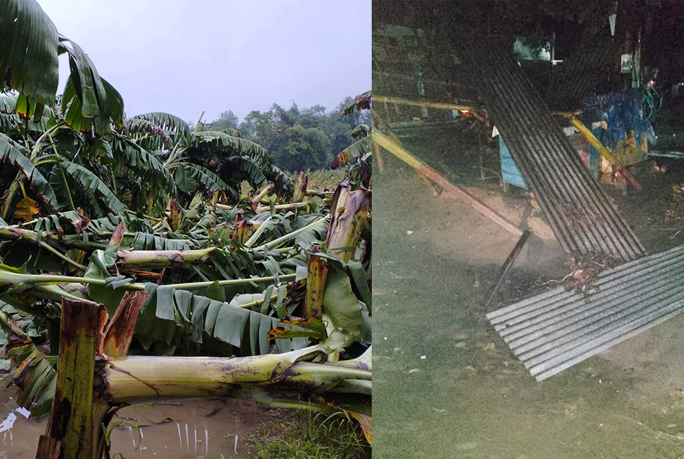 দিনাজপুরে ঝড়ে ব্যাপক ক্ষয়ক্ষতি