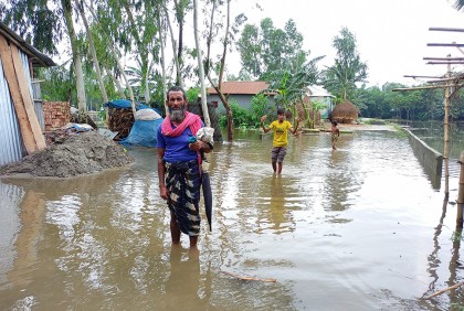 তিস্তার পানি আবারও বৃদ্ধি, দুর্ভোগে চরের মানুষ