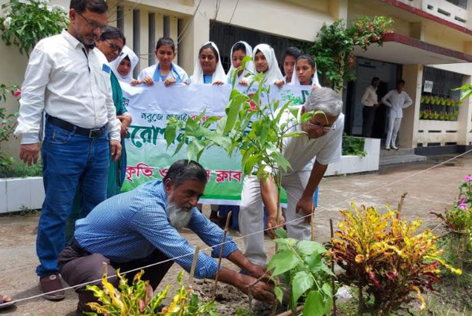 বরগুনা সরকারি মহিলা কলেজে বৃক্ষরোপণ