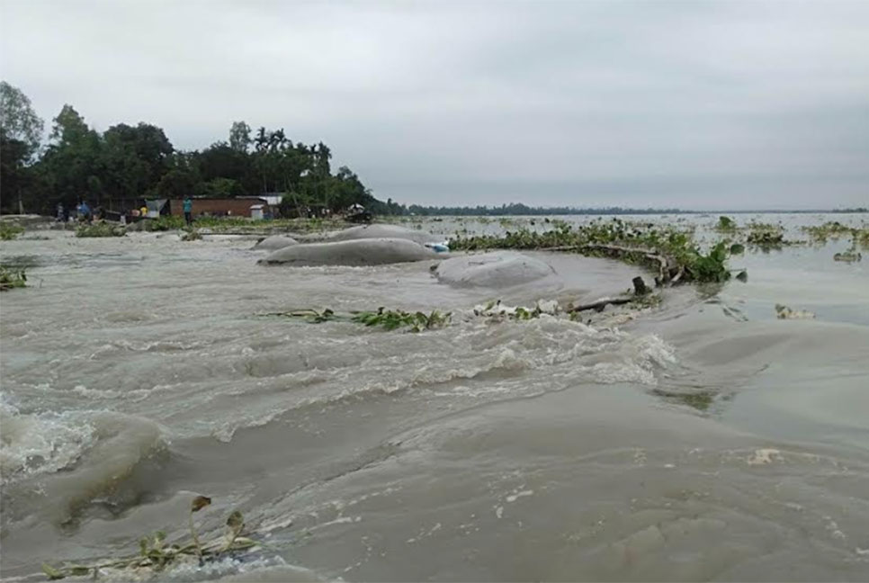 কুড়িগ্রামে নদীর পানি বাড়ছে 