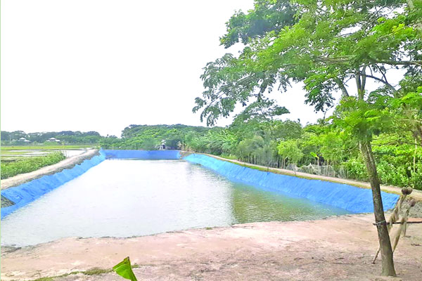 খালে বাঁধ দিয়ে মাছ চাষ