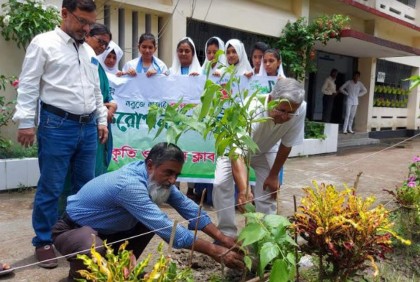 বরগুনা সরকারি মহিলা কলেজে বৃক্ষরোপণ