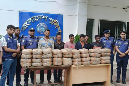 বিজয়নগরে গাঁজাসহ ৬ মাদক পাচারকারী গ্রেফতার