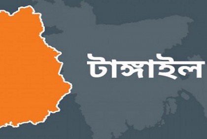মির্জাপুরে পল্লী বিদ্যুতের ট্রান্সফরমার চুরি