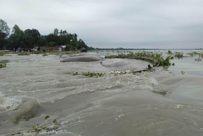 কুড়িগ্রামে নদীর পানি বাড়ছে 