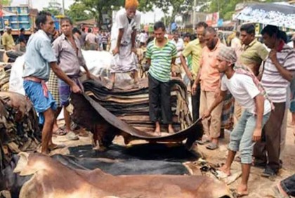 চামড়ার দাম নির্ধারণ: ঢাকায় প্রতি বর্গফুট সর্বোচ্চ ৫৫ টাকা, বাইরে ৪৮