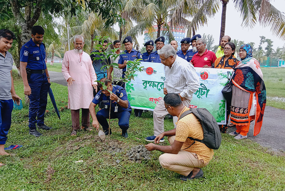 বরগুনায় বৃক্ষরোপণ কর্মসূচি