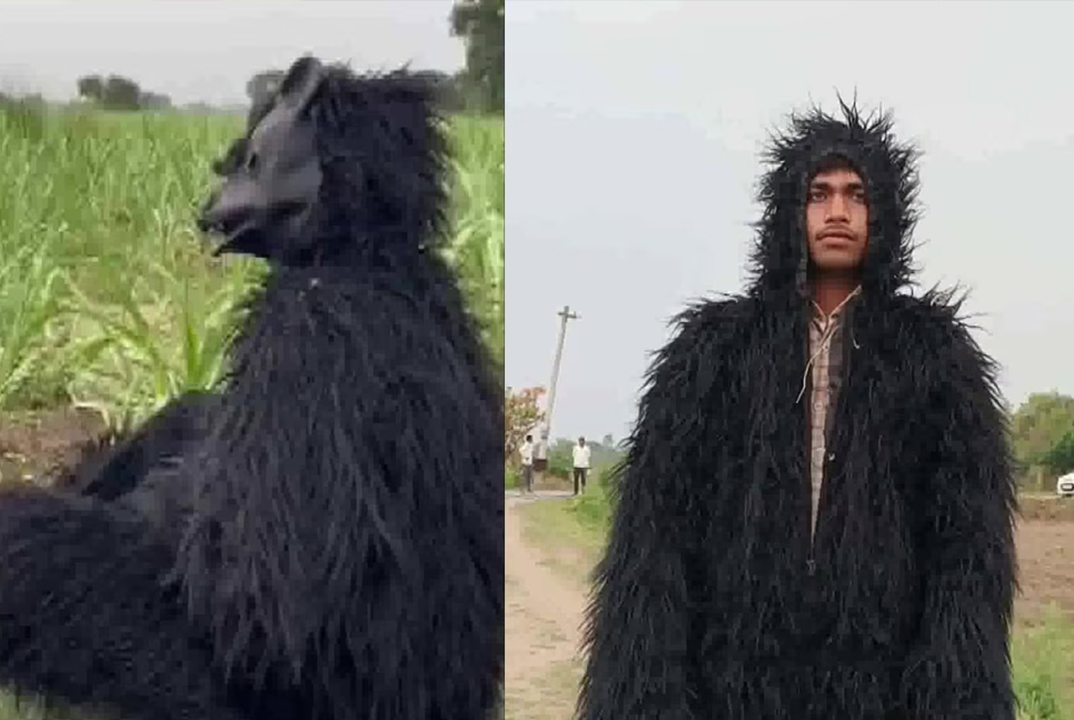 বানর ঠেকাতে ভাল্লুকের সাজে কৃষকরা, অতঃপর...