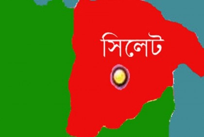 শ্রীমঙ্গলে কুকুরের কামড়ে ২০ জন আহত