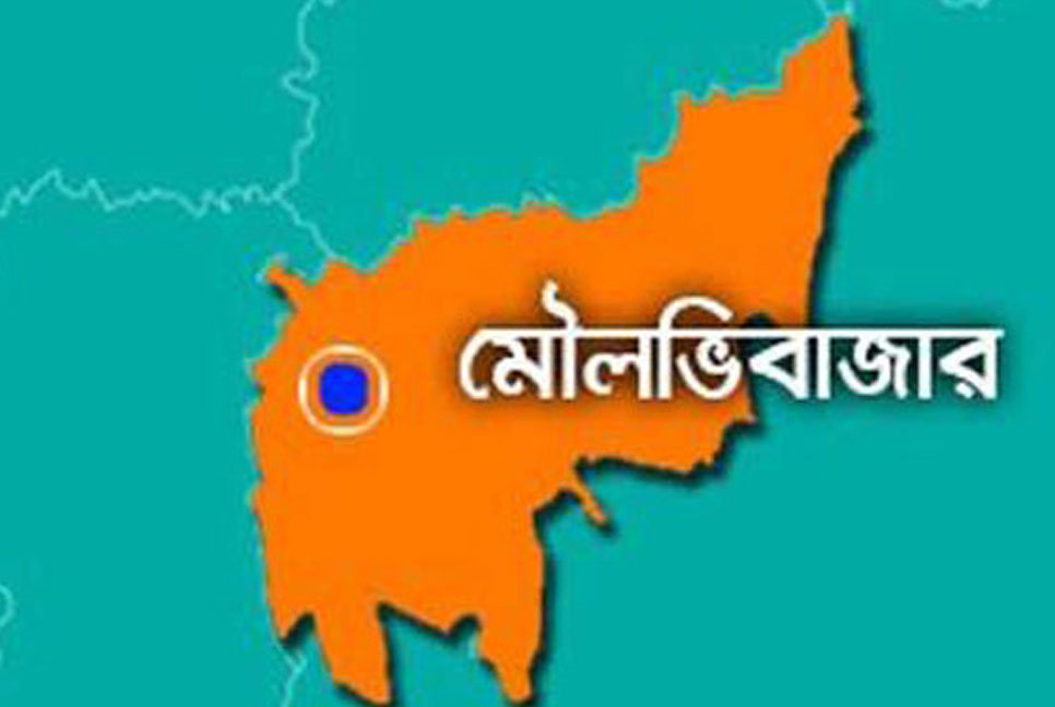 শ্রীমঙ্গলে বিদ্যুতের খুঁটির সাথে পশুবোঝাই গাড়ির ধাক্কা, মহিষের মৃত্যু