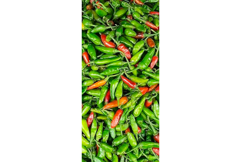 বাগেরহাটে কাঁচা মরিচের কেজি ৪০০ টাকা