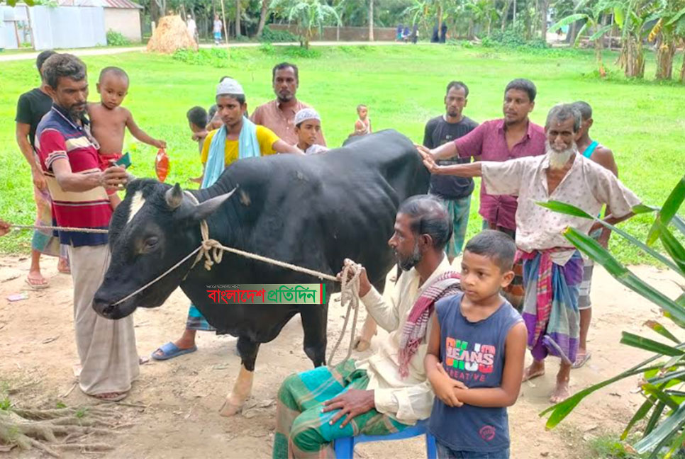 
২০ টাকার কোরবানি