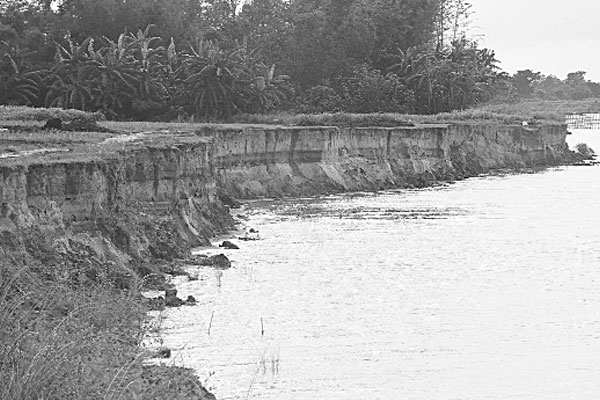 রাজবাড়ীতে পদ্মার তীব্র ভাঙন