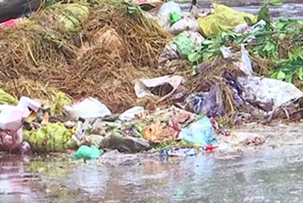 বৃষ্টি উপেক্ষা করে ধামরাই পৌরসভায় কোরবানির পশুর বর্জ্য অপসারণ