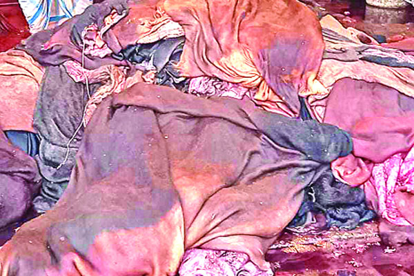 সস্তার চামড়া নিয়েও চিন্তা
