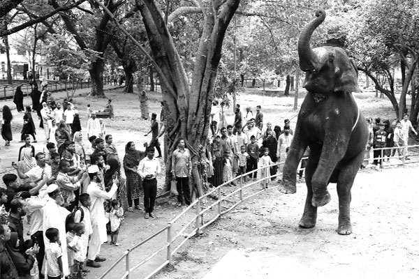 ঈদের ছুটিতে ঢাকা চিড়িয়াখানা