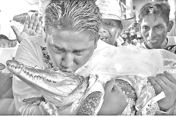 মেক্সিকোয় কুমিরকে বিয়ে করলেন মেয়র