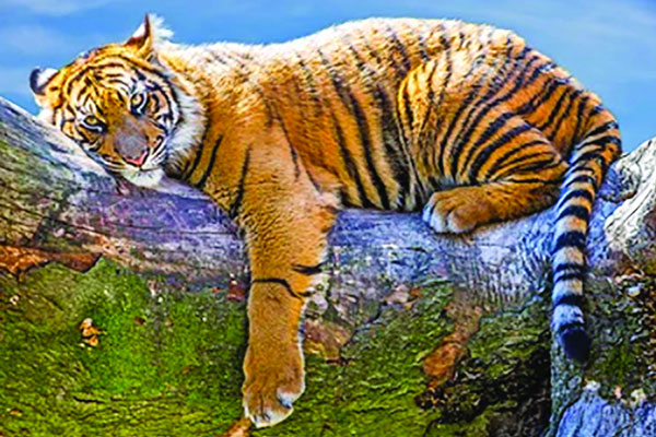 ইচ্ছে হলে হাসুন