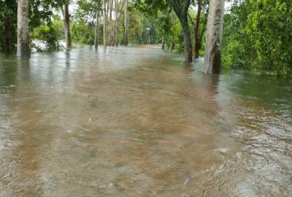 পাহাড়ি ঢলে গোয়াইনঘাটে বন্যা পরিস্থিতির অবনতি, সড়ক যোগাযোগ বিচ্ছিন্ন

