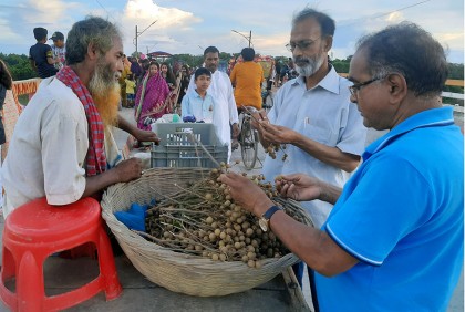 মানিকগঞ্জে বাড়ছে পিচফলের চাহিদা