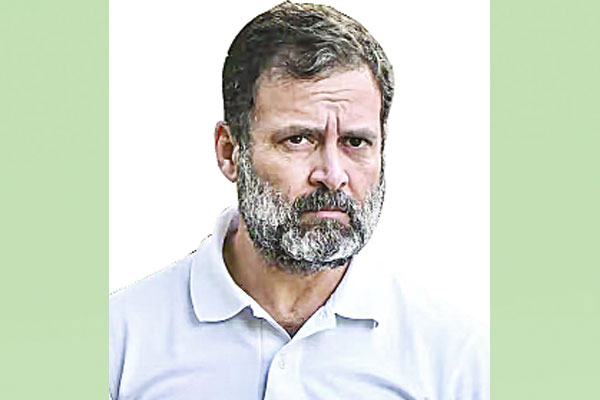রাহুলের আবেদন গুজরাট হাই কোর্টে নাকচ