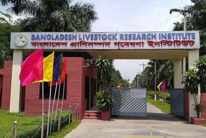 বিএলআরআইতে গবেষণার জন্য রাখা ৩৮ মোরগ চুরি