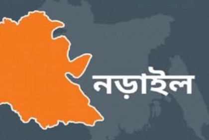 ভাইয়ের হাতে ভাই খুন