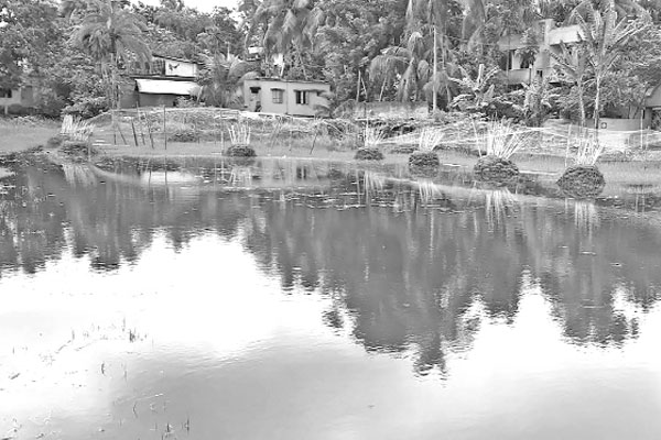 রাজৈরে পানিবন্দি ৫০ পরিবার