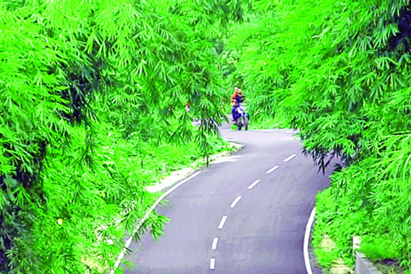 বর্ষায় সেজেছে পাহাড়