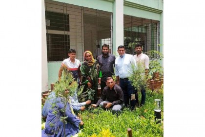 কুমেকে বিরল উদ্ভিদের চারা রোপণ