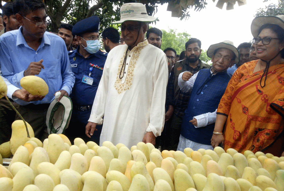 প্রধানমন্ত্রীর নির্দেশে আম উদ্যোক্তাদের সহজ শর্তে ঋণ দেয়া হবে: কৃষিমন্ত্রী 