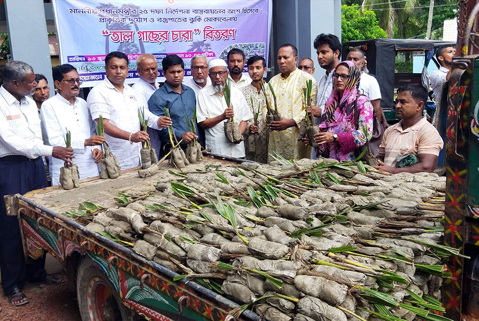 মোরেলগঞ্জে ১৫ হাজার তাল গাছের চারা বিতরণ