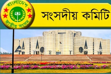 পানিতে ডুবে শিশুমৃত্যু রোধে দেশব্যাপী সাঁতার প্রশিক্ষণের সুপারিশ

