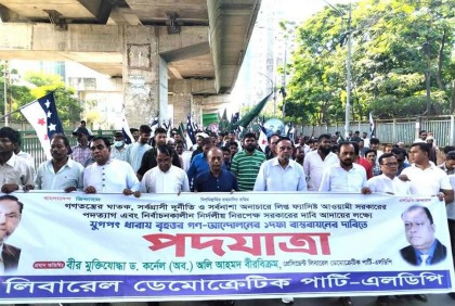 আওয়ামী লীগ বিদায় নিলেই দেশে শান্তি আসবে : অলি
