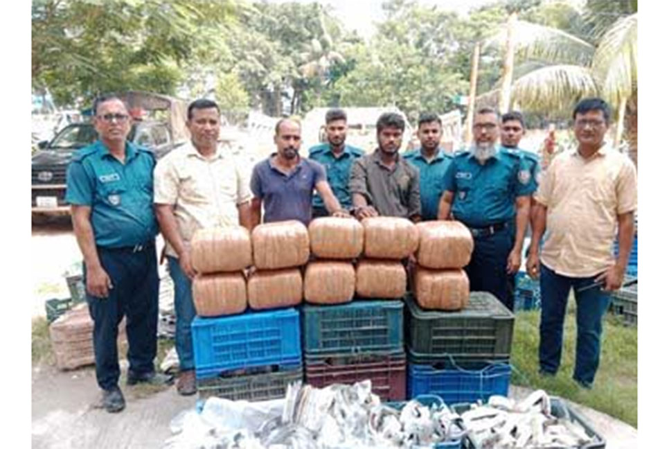 নাটোরে ৫০ কেজি গাঁজাসহ আটক ২