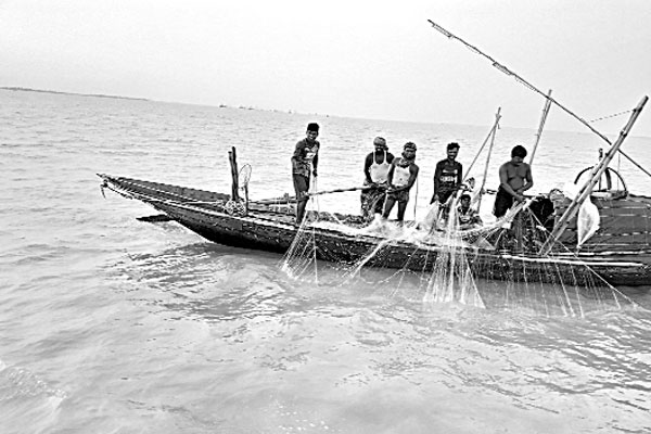 ভরা মৌসুমেও ইলিশের দেখা নেই পদ্মা-মেঘনায়