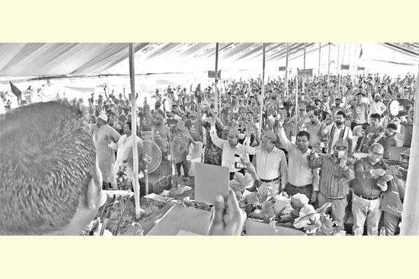 কুমিল্লার ব্রাহ্মণপাড়ায় মাদকবিরোধী সমাবেশ