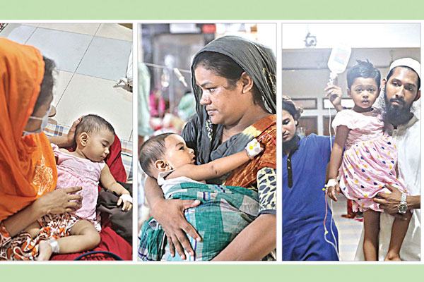 ভয়াবহ রূপ নিয়েছে ডেঙ্গু