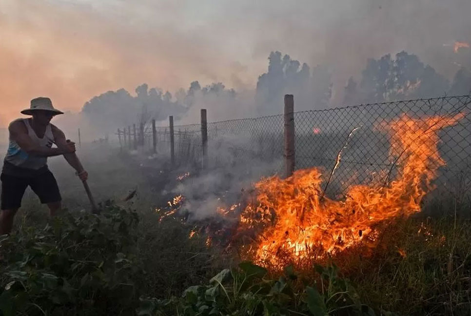 ভয়াবহ দাবানলে পুড়ছে আলজেরিয়া, নিহত ৩৪