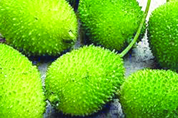 কাঁকরোলের গুনাগুন