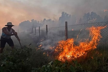ভয়াবহ দাবানলে পুড়ছে আলজেরিয়া, নিহত ৩৪