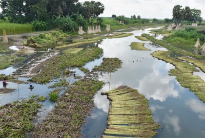 হড়াই নদী খনন কৃষিতে আশীর্বাদ