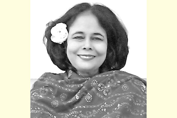 সালুনের নুন, নুনের সালুন