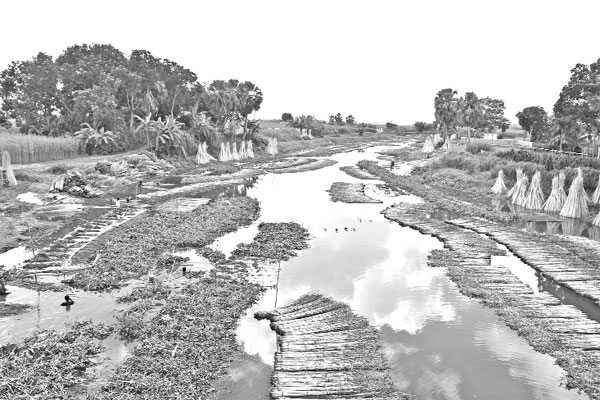 রাজবাড়ীর হড়াই নদী খনন কৃষিতে আশীর্বাদ