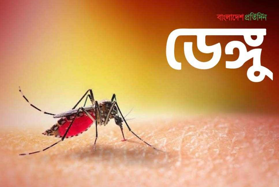 কিশোরগঞ্জের সাত হাসপাতালে ৭৮ ডেঙ্গু রোগী